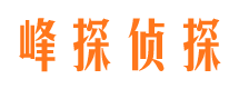 宝应市侦探公司